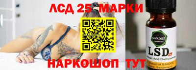 СК Кингисепп