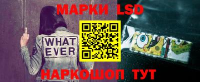 СК Кингисепп