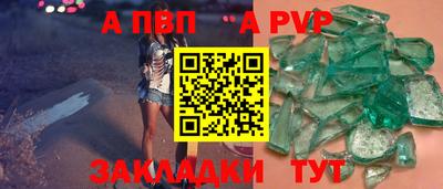 СК Кингисепп