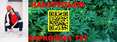 СК Кингисепп
