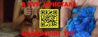 СК Кингисепп