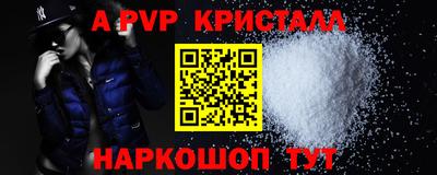 СК Кингисепп