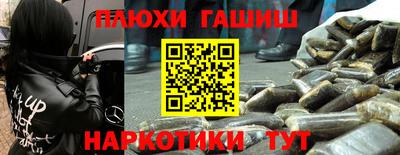 СК Кингисепп